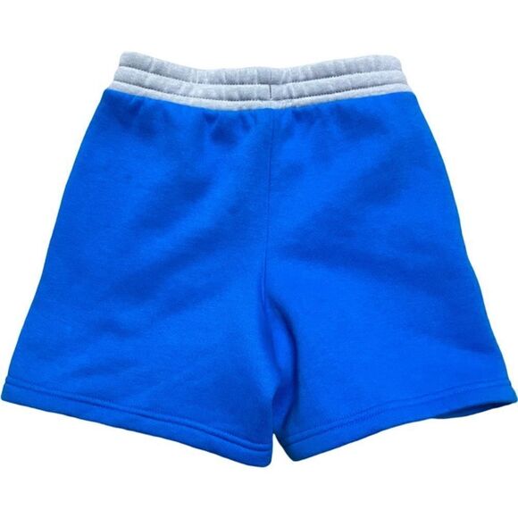 DSG Everyday Shorts Boy’s SZ 4-5 Cobalt Blue Drawstring Fleece Pockets Lined NEW - Picture 2 of 9